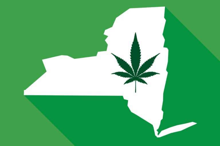 Opening a dispensary in New York